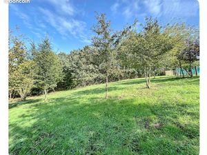 Terrain constructible