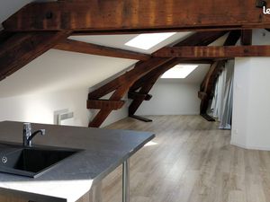 Magnifique appartement lumineux proche pépinière