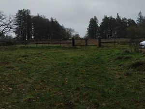 Loue pâture terrain