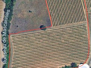 Îlots de vignes Cessenon