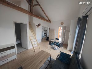 Appt Centre ville  plein sud