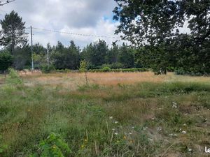 Terrain 500 m² Ludon Medoc