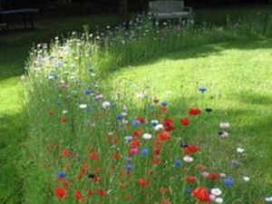 Terrain 673 m² Sorigny