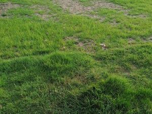 Terrain 411 m² Tremeven