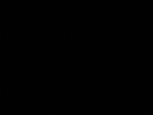 Recherche T1/T2 proche RER A – Poissy / alentours