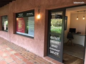 A LOUER LOCAL COMMERCIAL JARDIN PARKING PATIO COUVERT emplacement 1er Ordre Entrée Nord PO