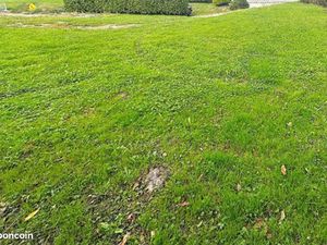 Terrain constructible