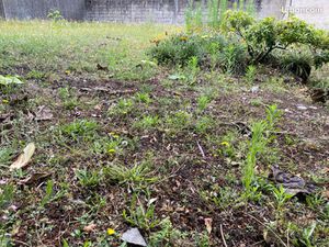 Vente terrain Nantes Longchamp