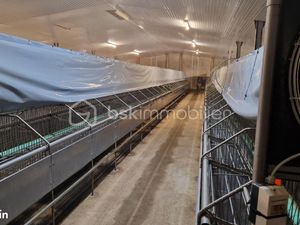 Immeuble 1 pièce 630 m²