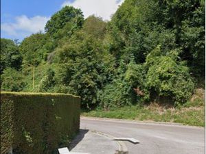 Terrain boisé plusieurs essences