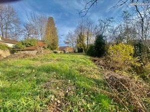 Terrain constructible