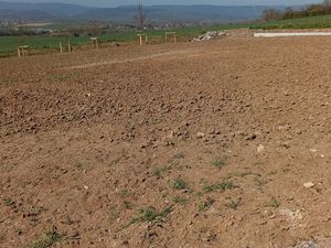 Vend très beau terrain viabilisé