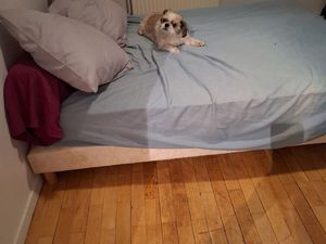 Cherche étudiante loue une chambre