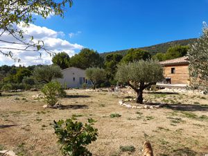 Vente maison atypique en bois