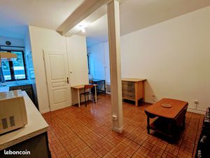 Location studio proche métro D Château Rochecardon Saint-Didier-au-Mont-d'Or