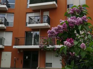 Appartement- 42 m2- 2 pièces