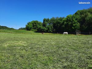 Terrain 323 m² Bavilliers
