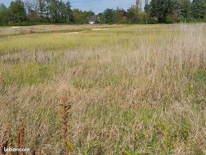 Terrain 550 m² Arbanats