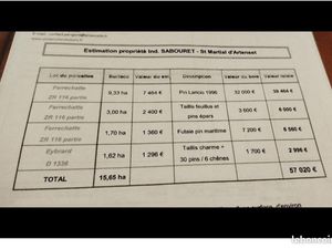 Parcelle de bois 16ha