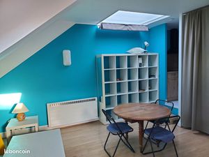 Grand studio meublé 34m2 hypercentre