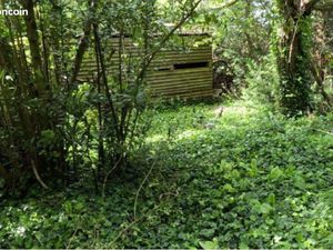 Terrain de loisir (cultivable) proche de Clamecy