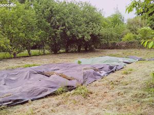 Terrain constructible