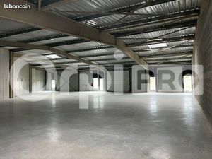 Local d'activité 499 m²