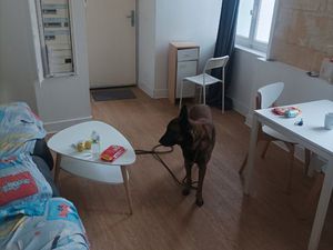 Appart T2 capucins 400