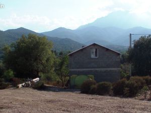 Terrains 2900 m² arboré et viabilisé