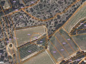 Vente parcelle forêt