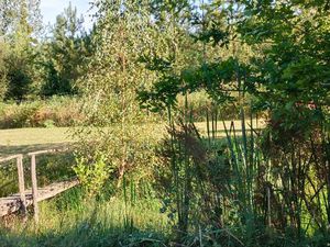 Terrain au calme avec étang