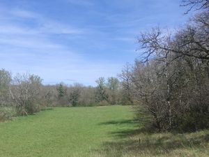 Terrain boisé et prairie