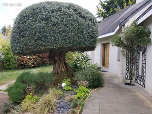 Maison contemporaine 7 pièces