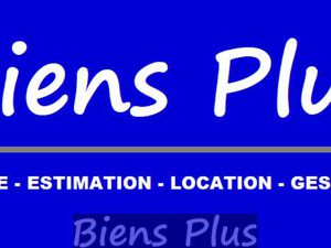 Immeuble 550 m² Le Mesnil Saint Denis