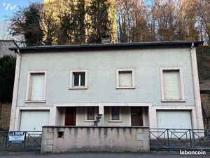 Immeuble 228 m² EPINAL