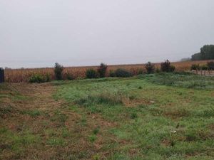 Terrain 323 m² Weckolsheim