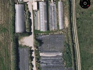 Vente exploitation agricole