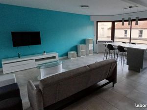 Grand appartement meublé T2 de 54 m²
