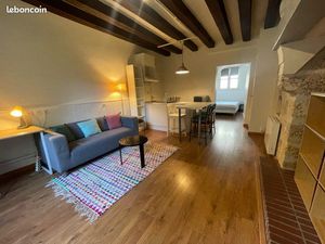 F1bis meublé quartier Théâtre