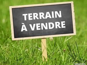 Terrain professionnel