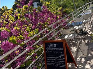 Fond de commerce restaurant du midi