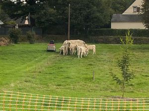 Terrain constructible