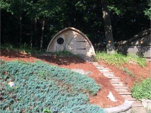 Cabane en bois logement insolite