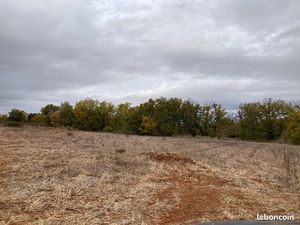 Terrain 12000m2 avec eau