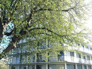 Appartement 2 pièces 55 m²