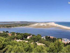 Restaurant mur et fond