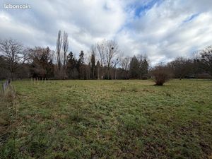 Terrain idéal chevaux / poneys / moutons