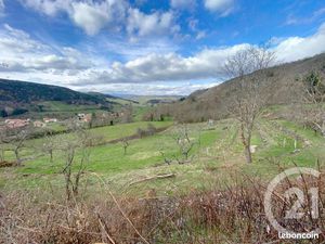 Terrain 2 971 m² Polignac