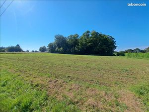 Terrain 2 400 m² Sarlande