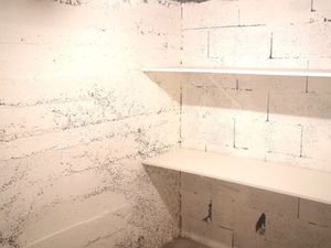 Cave a louer avenue sauvan nice (bas av lanterne)